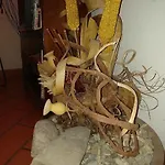 Antica Posta Floransa